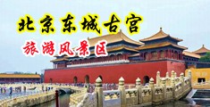 啊啊好疼好深用力插视频中国北京-东城古宫旅游风景区
